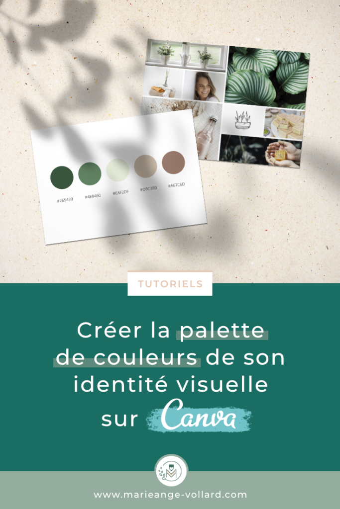 Créer la palette  de couleurs de son identité visuelle  sur Canva - Marie-Ange Vollard